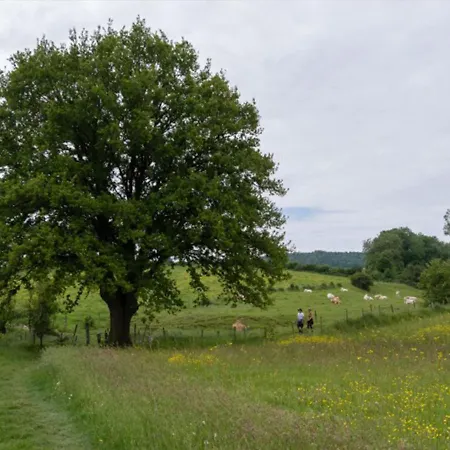 Appartement Recreatieboerderij Tergracht - Dr Wesjzulder