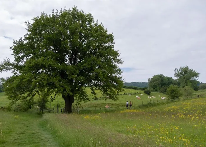 Appartement Recreatieboerderij Tergracht - Dr Wesjzulder